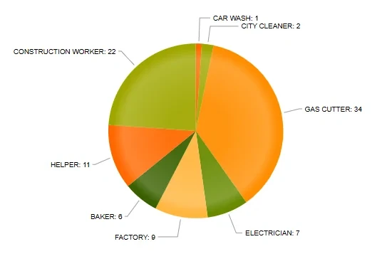 Job Category Pie Chart
